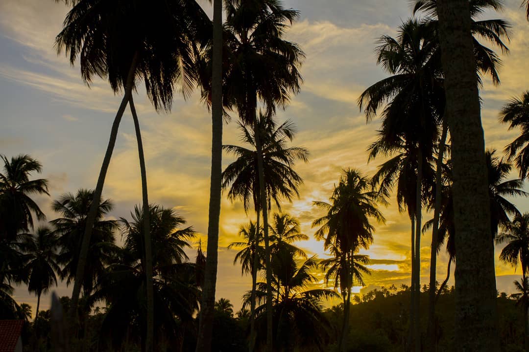 O que fazer à noite em Maragogi Descubra agora Passeios Receptivo