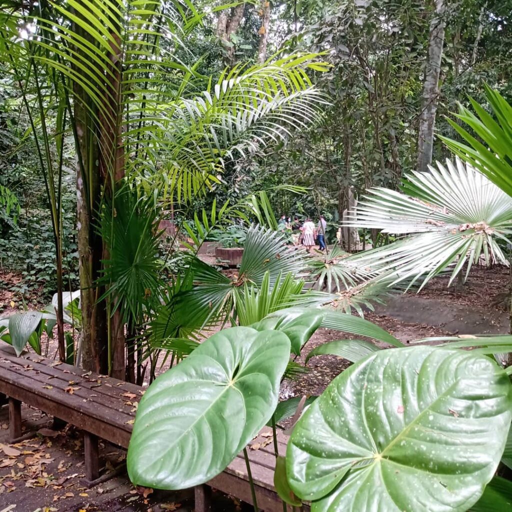 Jardim Botânico do Recife