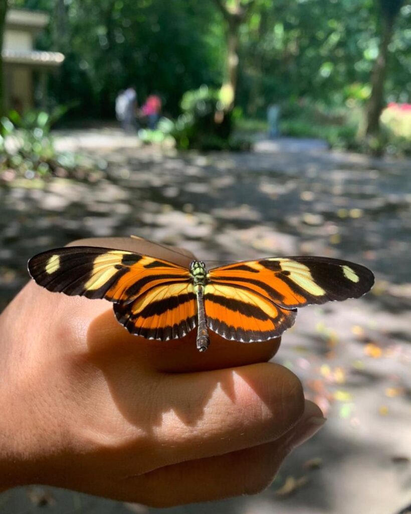 Jardim Botânico em Recife