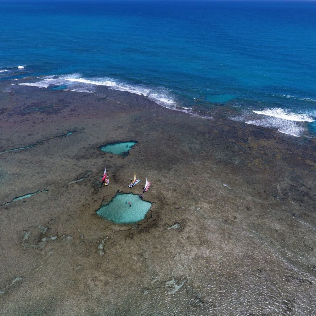 Piscinas Naturais nas Praias de Porto de Galinhas