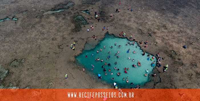 Dicas de Porto de Galinhas