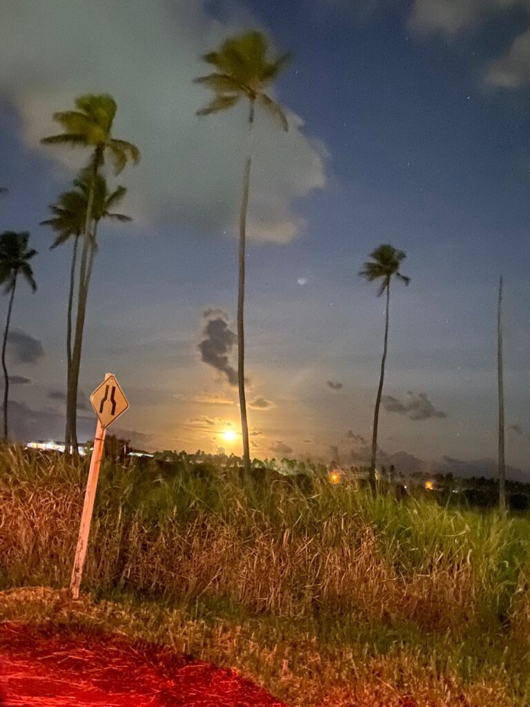 Relaxe nas praias tranquilas