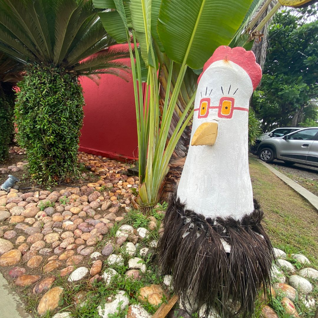 Primeira Vez em Porto de Galinhas