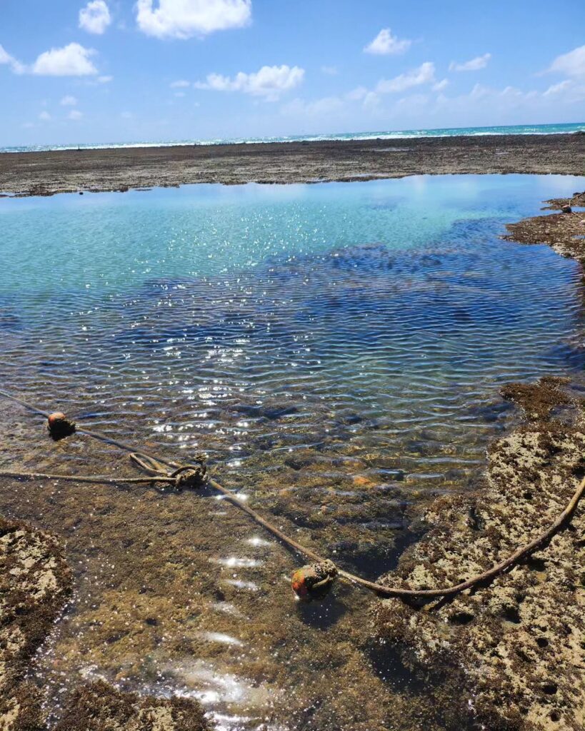 Tábua da maré em Porto de Galinhas