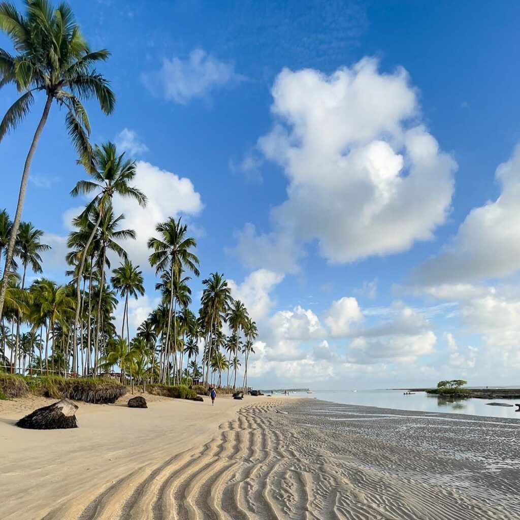 coqueiral em tamandaré