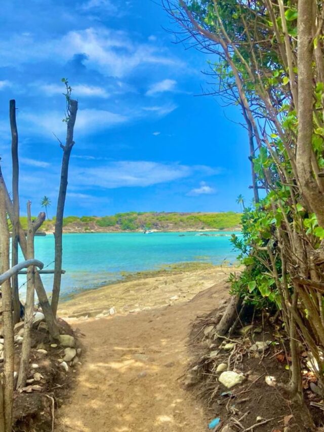 Ilha de Santo Aleixo