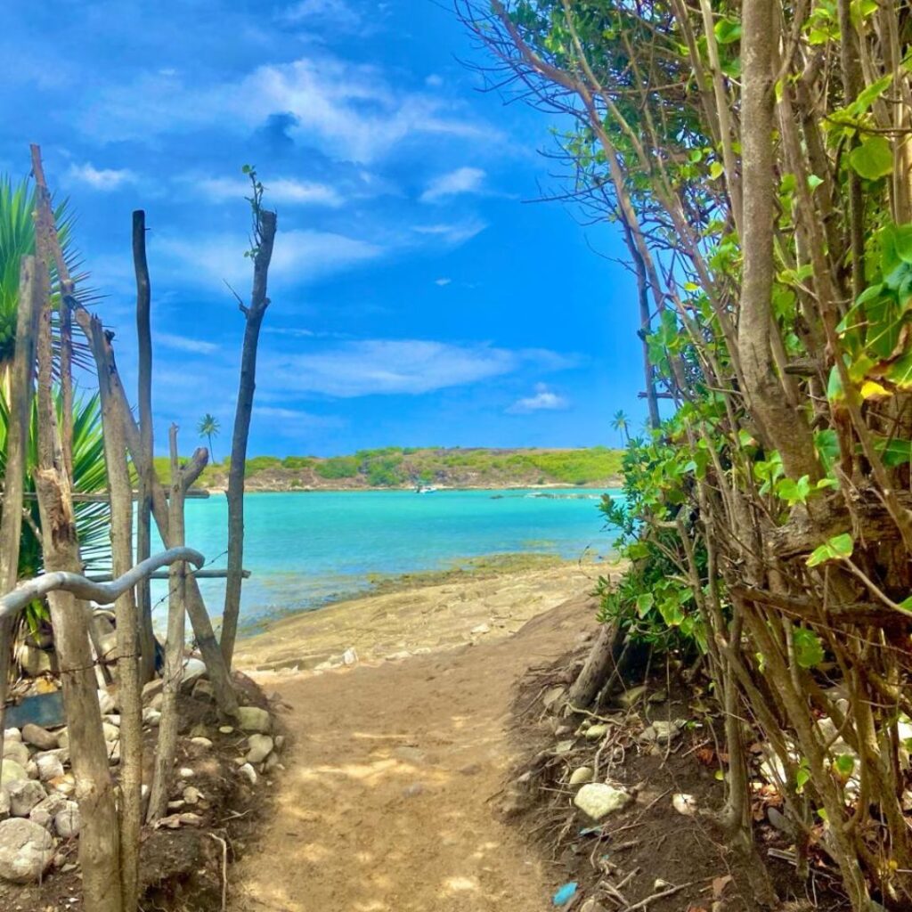 Dia perfeito na Ilha de Santo Aleixo