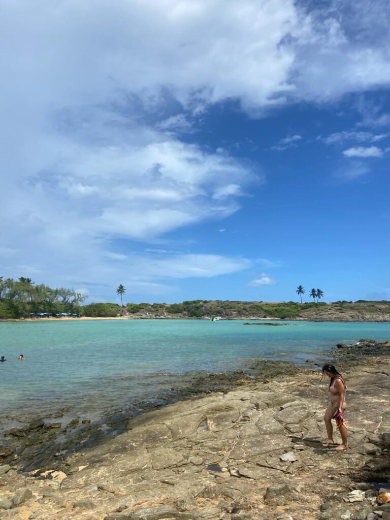 Passeio Ilha de Santo Aleixo