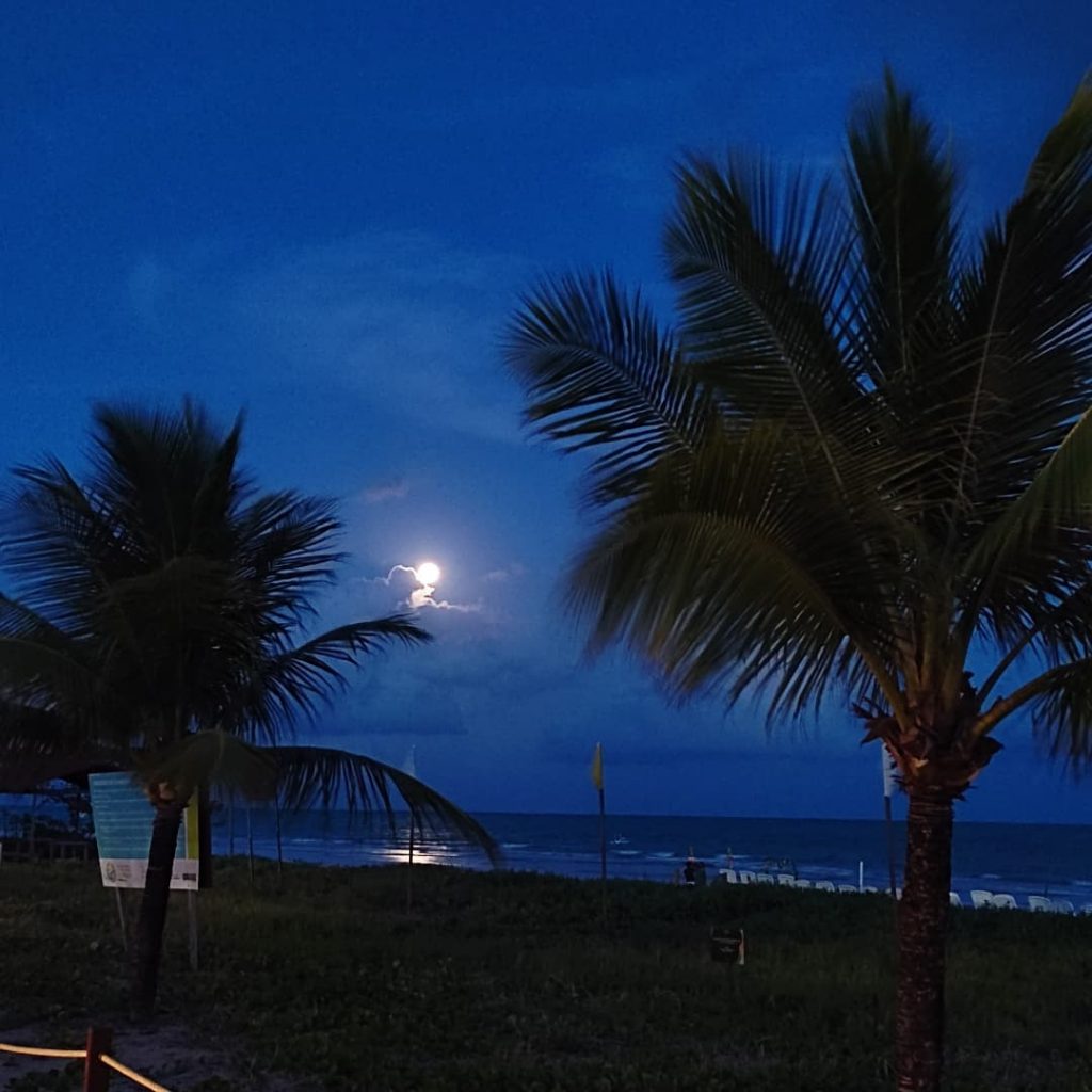 Caminhada na praia Japaratinga