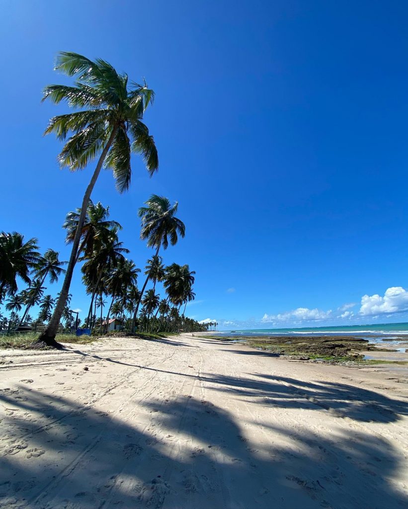 praia dos carneiros