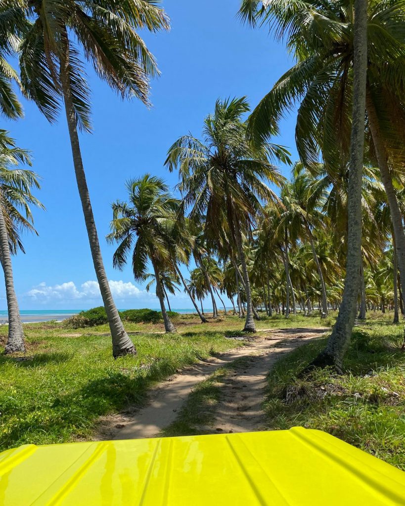 Passeio de buggy em Japaratinga