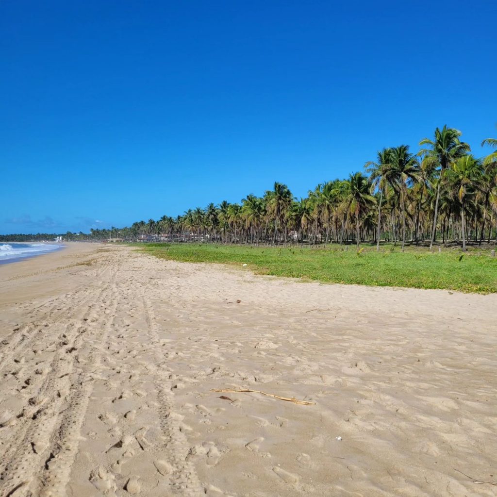 praia de maracaípe