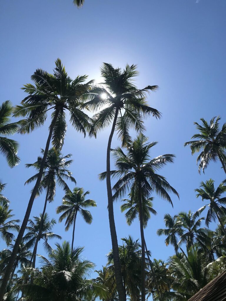 Porto de Galinhas com crianças