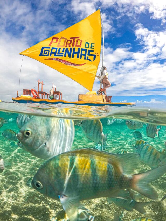 O que fazer em Porto de Galinhas (atualizado)