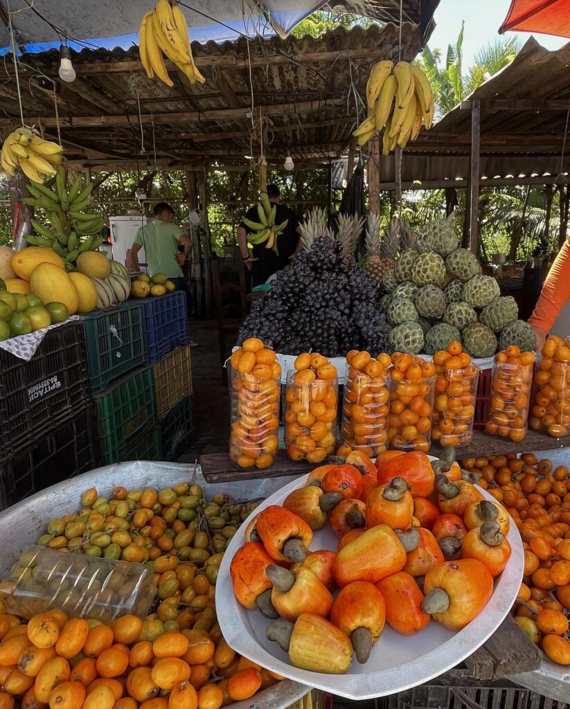 Feira São Miguel do Gostoso