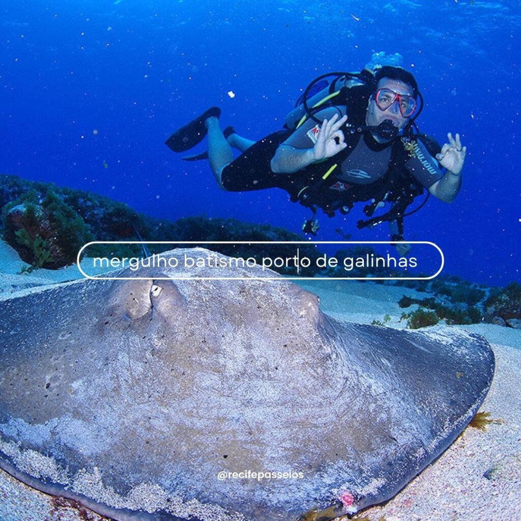 Mergulho Porto de Galinhas