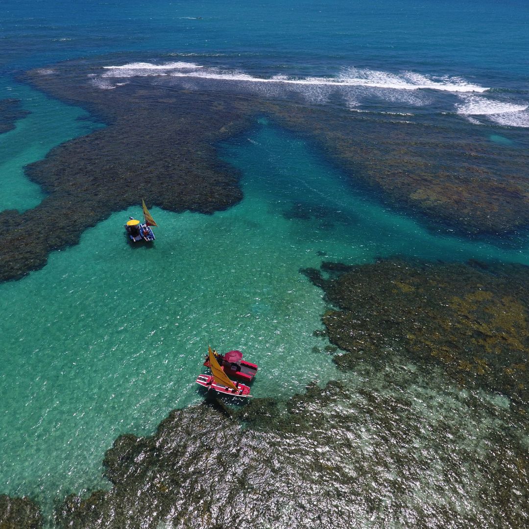 Passeio de Jangada Porto de Galinhas